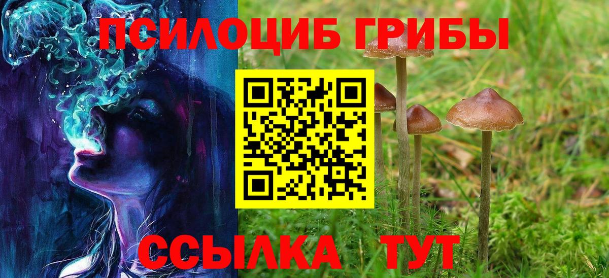 Галлюциногенные грибы прущие грибы  магазин  наркотиков  Тихвин  Вход с VPN 