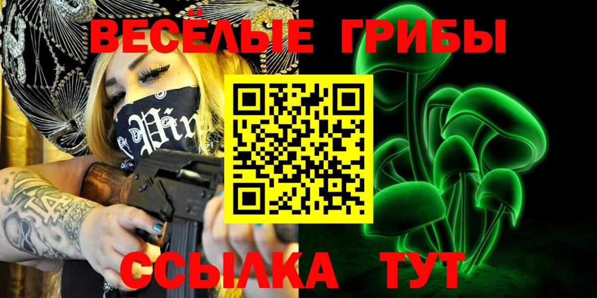 Псилоцибиновые грибы Cubensis Тихвин